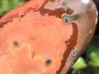 Polished Polychrome Jasper Standing Display Pieces x 6 From Androka, Madagascar