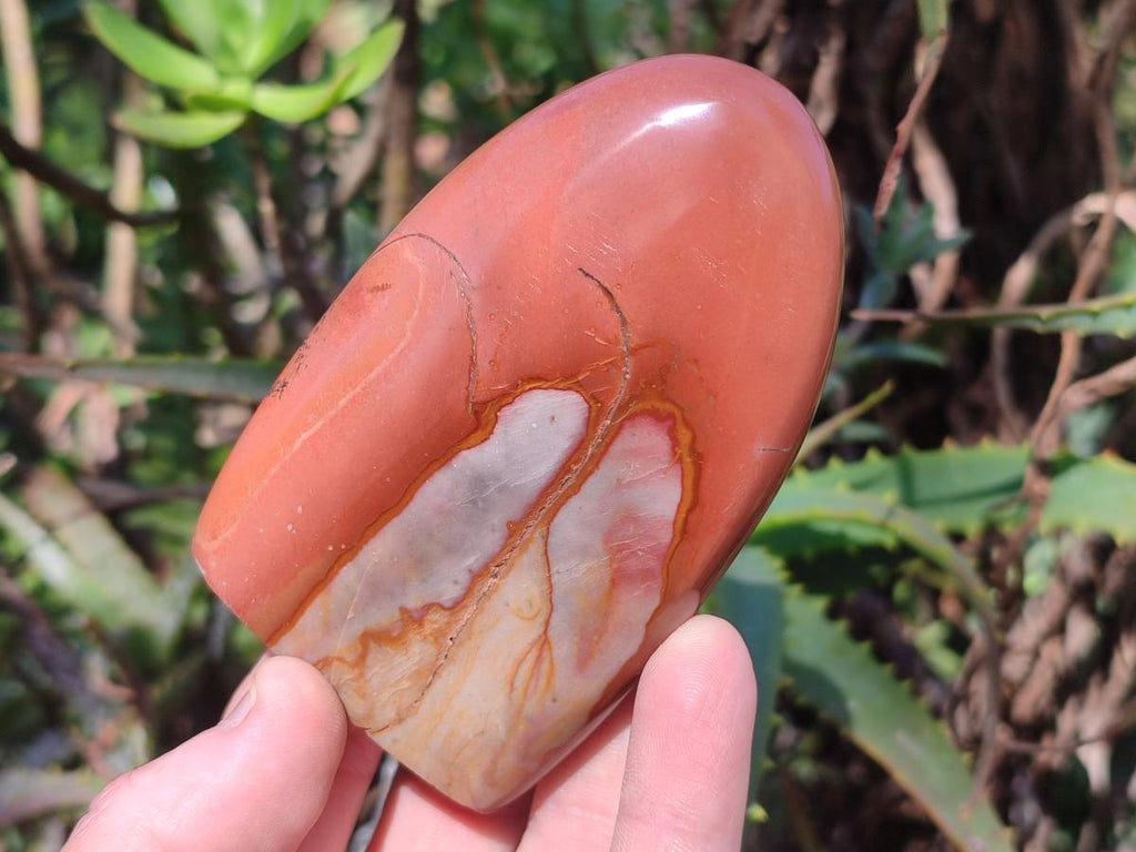 Polished Polychrome Jasper Standing Display Pieces x 6 From Androka, Madagascar