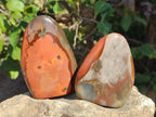 Polished Polychrome Jasper Standing Display Pieces x 6 From Androka, Madagascar