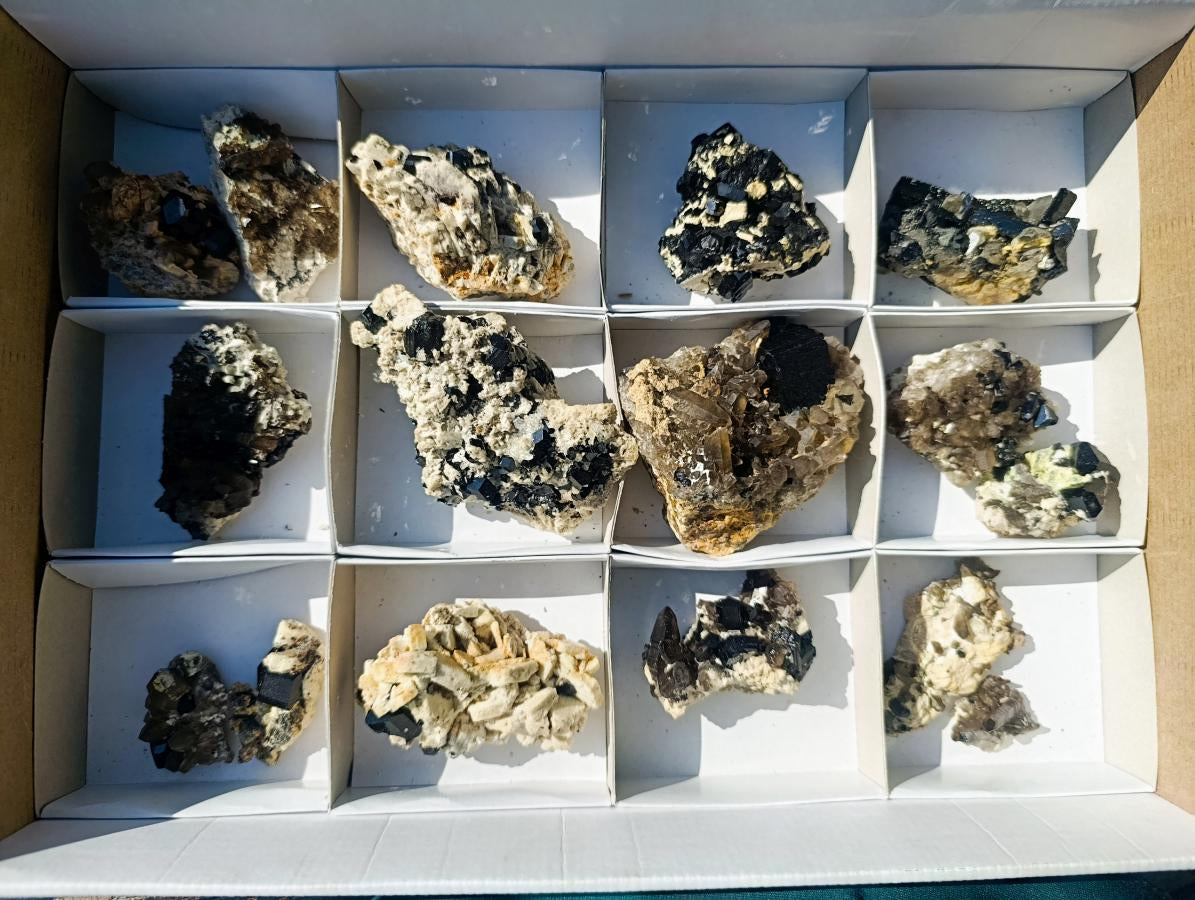 Natural Schorl Black Tourmaline Crystal Specimens with Associated Minerals x 16 From Erongo, Namibia