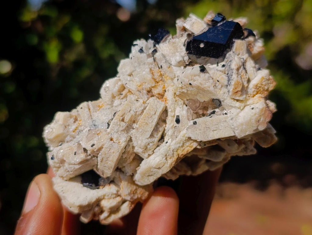 Natural Schorl Black Tourmaline Crystal Specimens with Associated Minerals x 16 From Erongo, Namibia