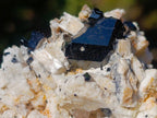 Natural Schorl Black Tourmaline Crystal Specimens with Associated Minerals x 16 From Erongo, Namibia