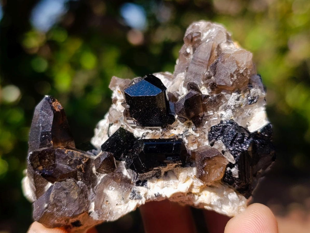 Natural Schorl Black Tourmaline Crystal Specimens with Associated Minerals x 16 From Erongo, Namibia