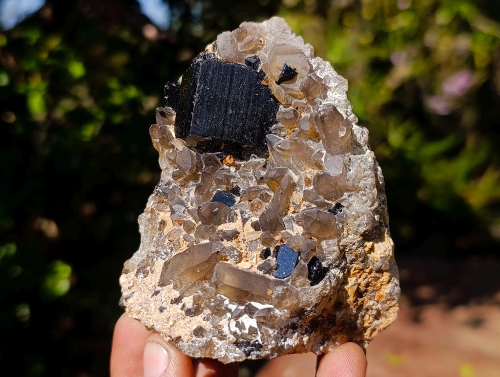 Natural Schorl Black Tourmaline Crystal Specimens with Associated Minerals x 16 From Erongo, Namibia