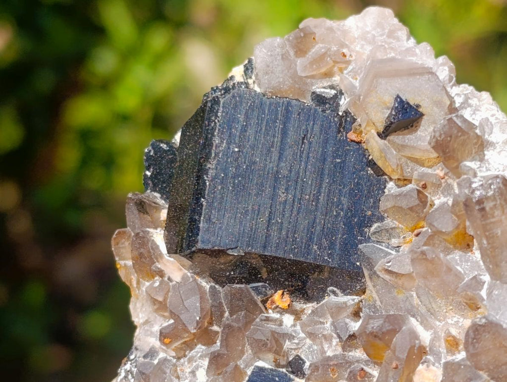 Natural Schorl Black Tourmaline Crystal Specimens with Associated Minerals x 16 From Erongo, Namibia