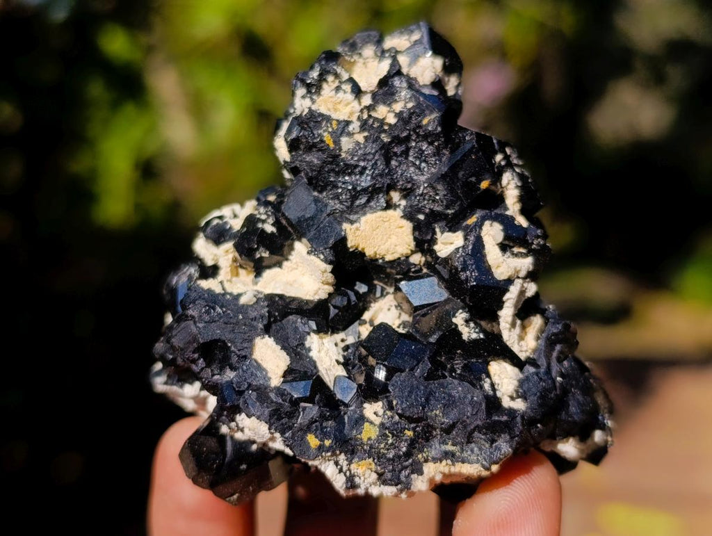 Natural Schorl Black Tourmaline Crystal Specimens with Associated Minerals x 16 From Erongo, Namibia