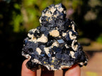 Natural Schorl Black Tourmaline Crystal Specimens with Associated Minerals x 16 From Erongo, Namibia