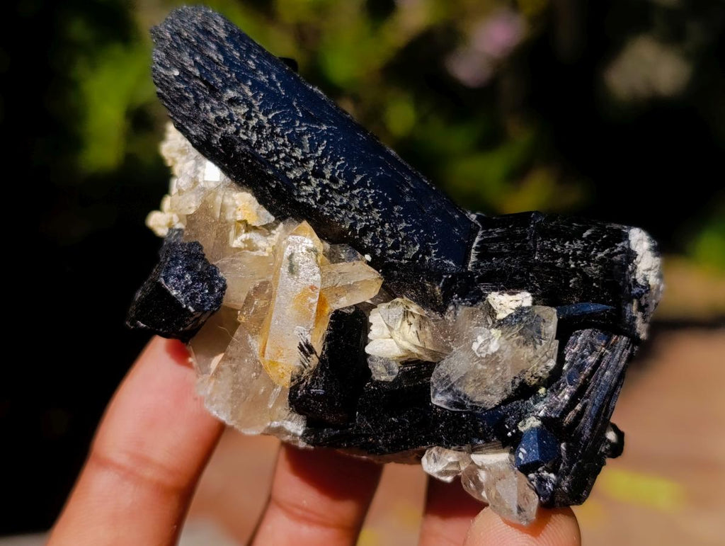 Natural Schorl Black Tourmaline Crystal Specimens with Associated Minerals x 16 From Erongo, Namibia