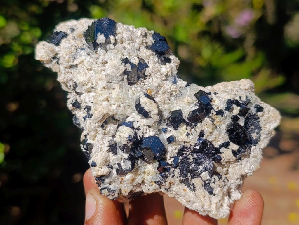 Natural Schorl Black Tourmaline Crystal Specimens with Associated Minerals x 16 From Erongo, Namibia