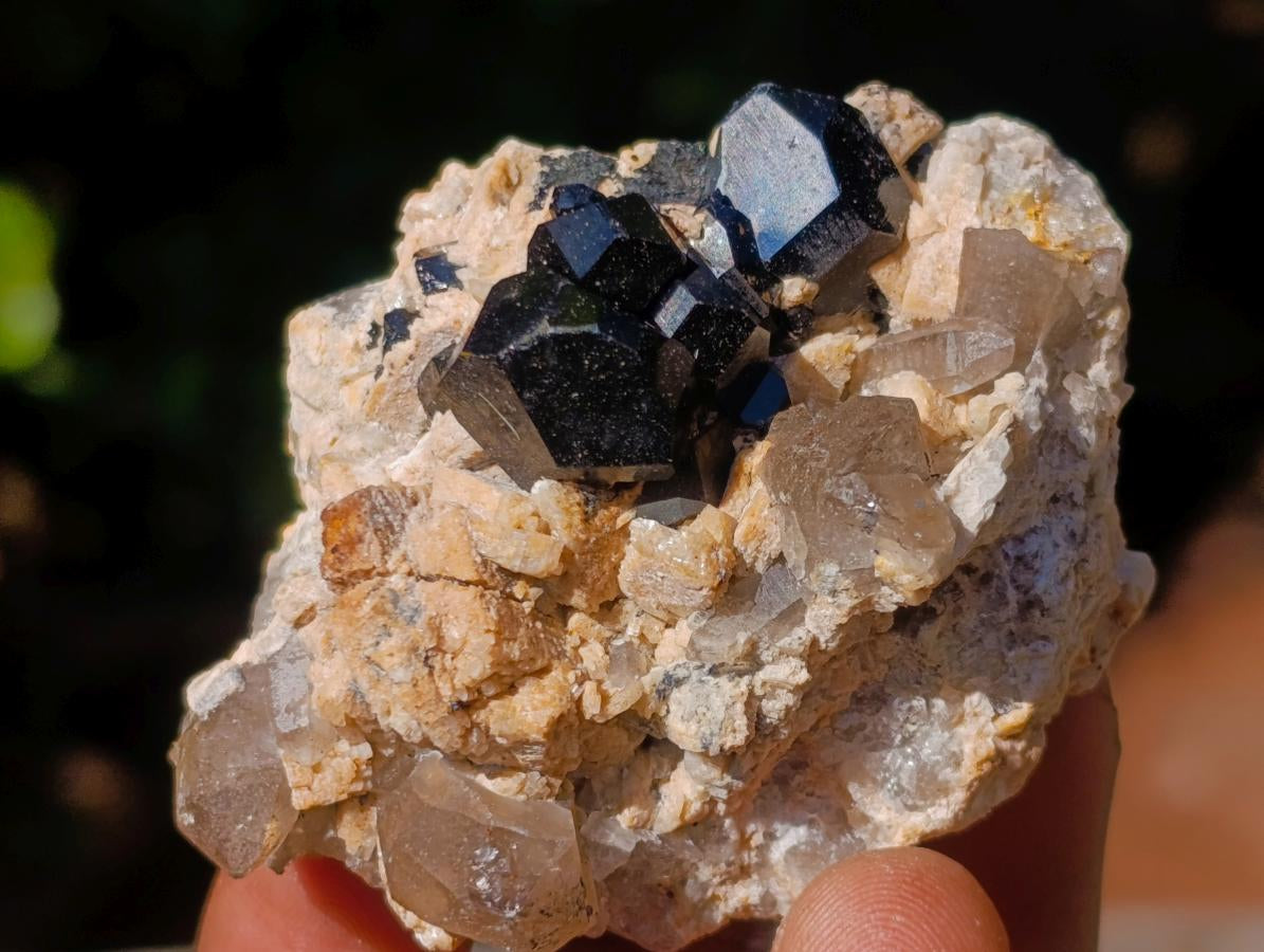 Natural Schorl Black Tourmaline Crystal Specimens with Associated Minerals x 16 From Erongo, Namibia