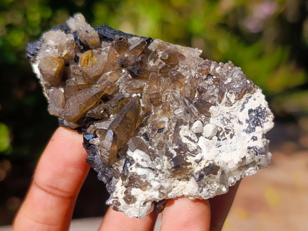 Natural Schorl Black Tourmaline Crystal Specimens with Associated Minerals x 16 From Erongo, Namibia