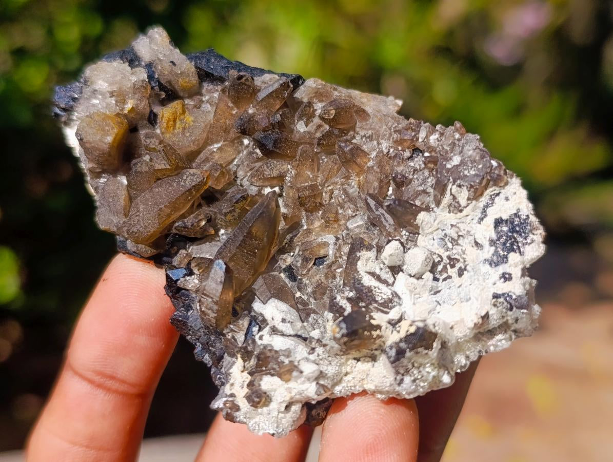 Natural Schorl Black Tourmaline Crystal Specimens with Associated Minerals x 16 From Erongo, Namibia