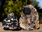 Natural Schorl Black Tourmaline Crystal Specimens with Associated Minerals x 16 From Erongo, Namibia