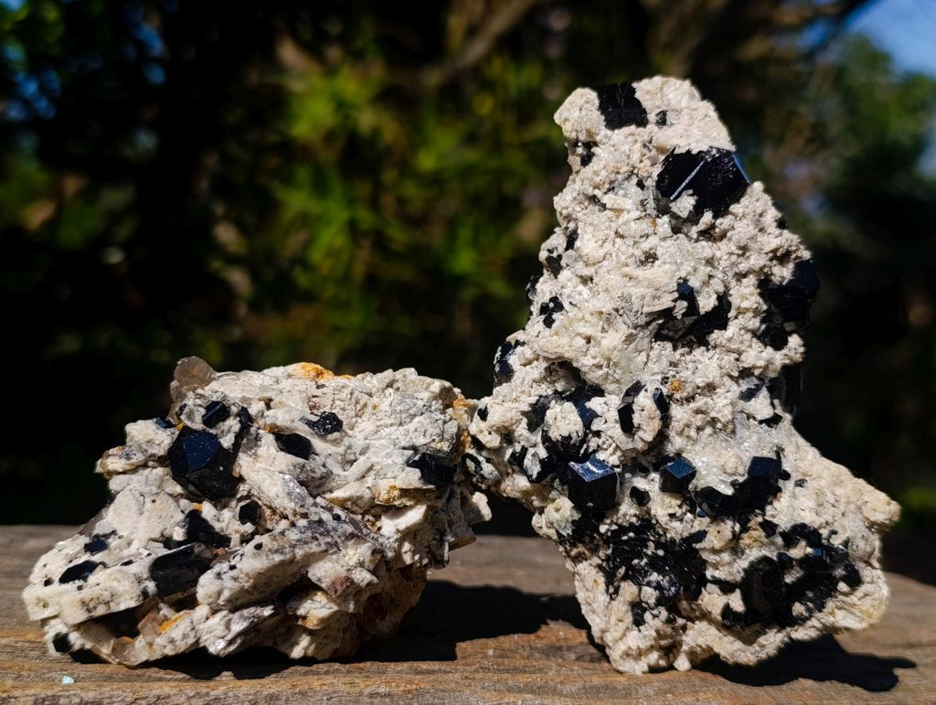 Natural Schorl Black Tourmaline Crystal Specimens with Associated Minerals x 16 From Erongo, Namibia