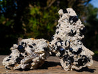 Natural Schorl Black Tourmaline Crystal Specimens with Associated Minerals x 16 From Erongo, Namibia