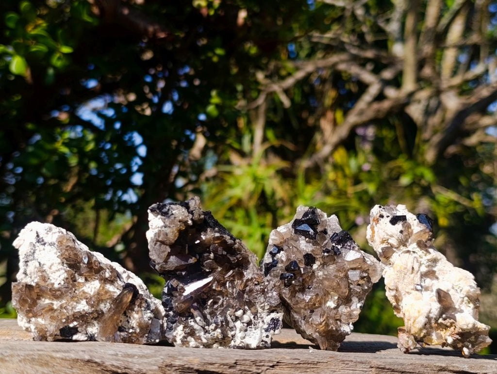 Natural Schorl Black Tourmaline Crystal Specimens with Associated Minerals x 16 From Erongo, Namibia