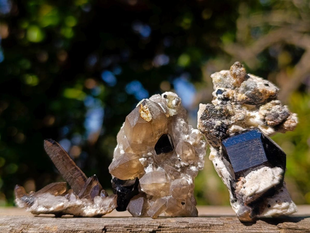 Natural Schorl Black Tourmaline Crystal Specimens with Associated Minerals x 16 From Erongo, Namibia