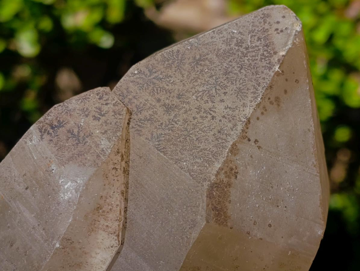 Natural Large Smokey Quartz Crystals with Schorl and Hyalite Opal x 2 From Erongo, Namibia