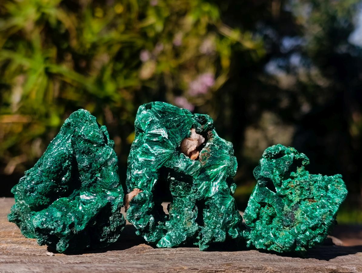 Natural Silky Malachite Specimens x 12 From Kasompe, Congo