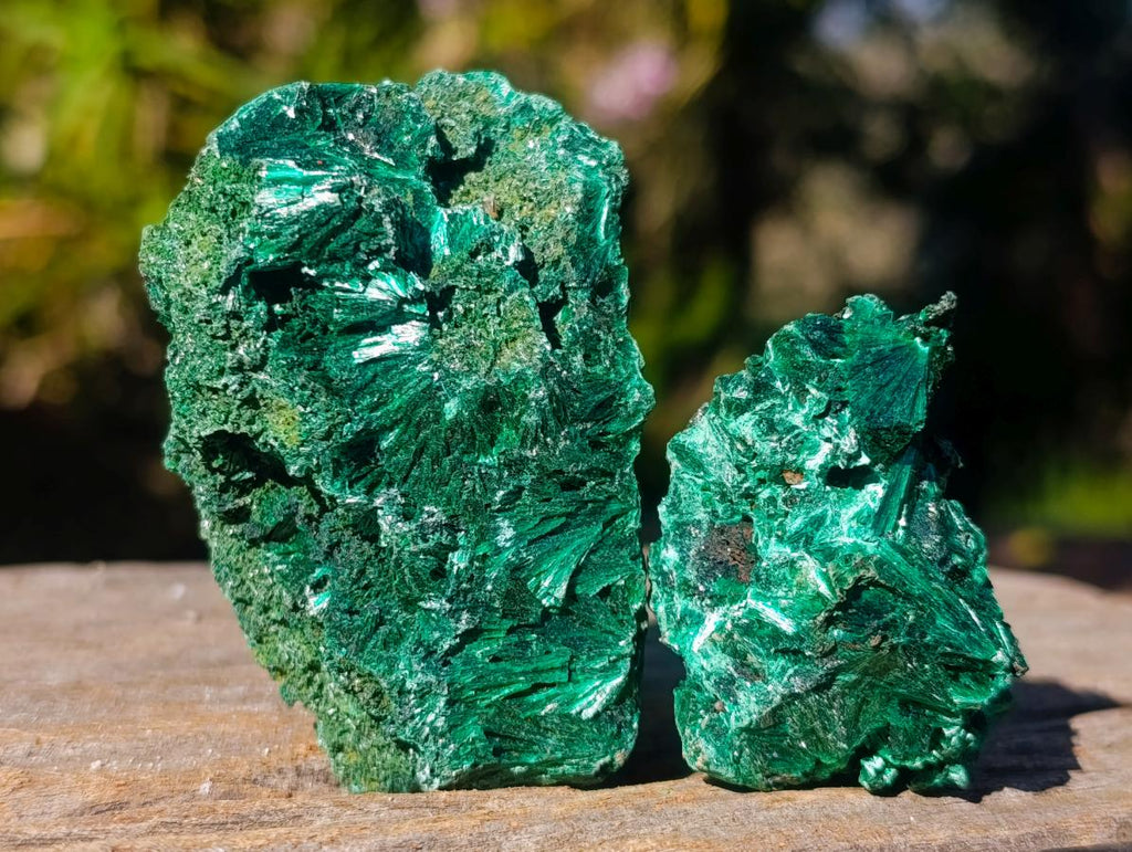 Natural Silky Malachite Specimens x 12 From Kasompe, Congo