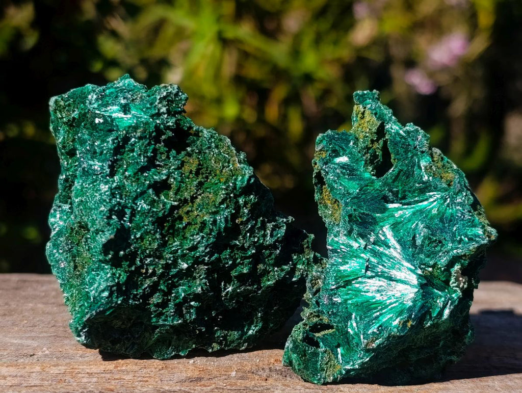 Natural Silky Malachite Specimens x 12 From Kasompe, Congo