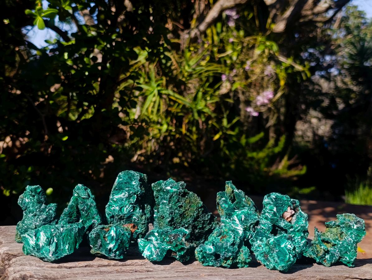 Natural Silky Malachite Specimens x 12 From Kasompe, Congo