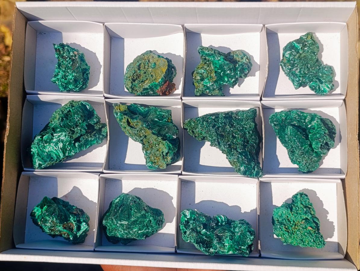 Natural Silky Malachite Specimens x 12 From Kasompe, Congo