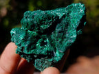 Natural Silky Malachite Specimens x 12 From Kasompe, Congo