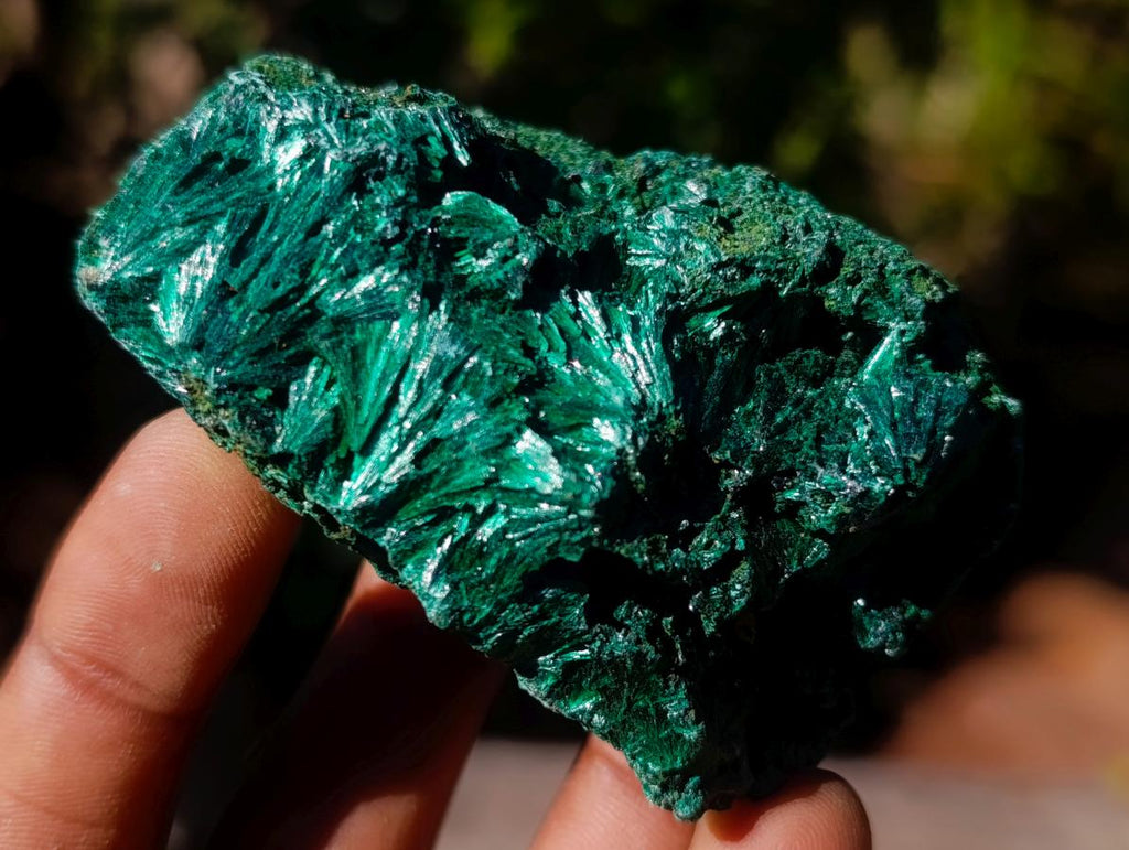 Natural Silky Malachite Specimens x 12 From Kasompe, Congo