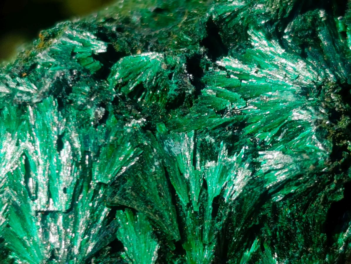 Natural Silky Malachite Specimens x 12 From Kasompe, Congo