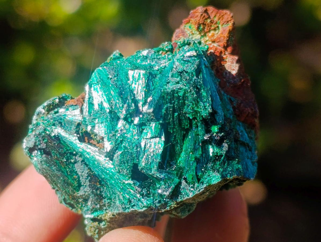 Natural Silky Malachite Specimens x 12 From Kasompe, Congo