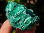 Natural Silky Malachite Specimens x 12 From Kasompe, Congo