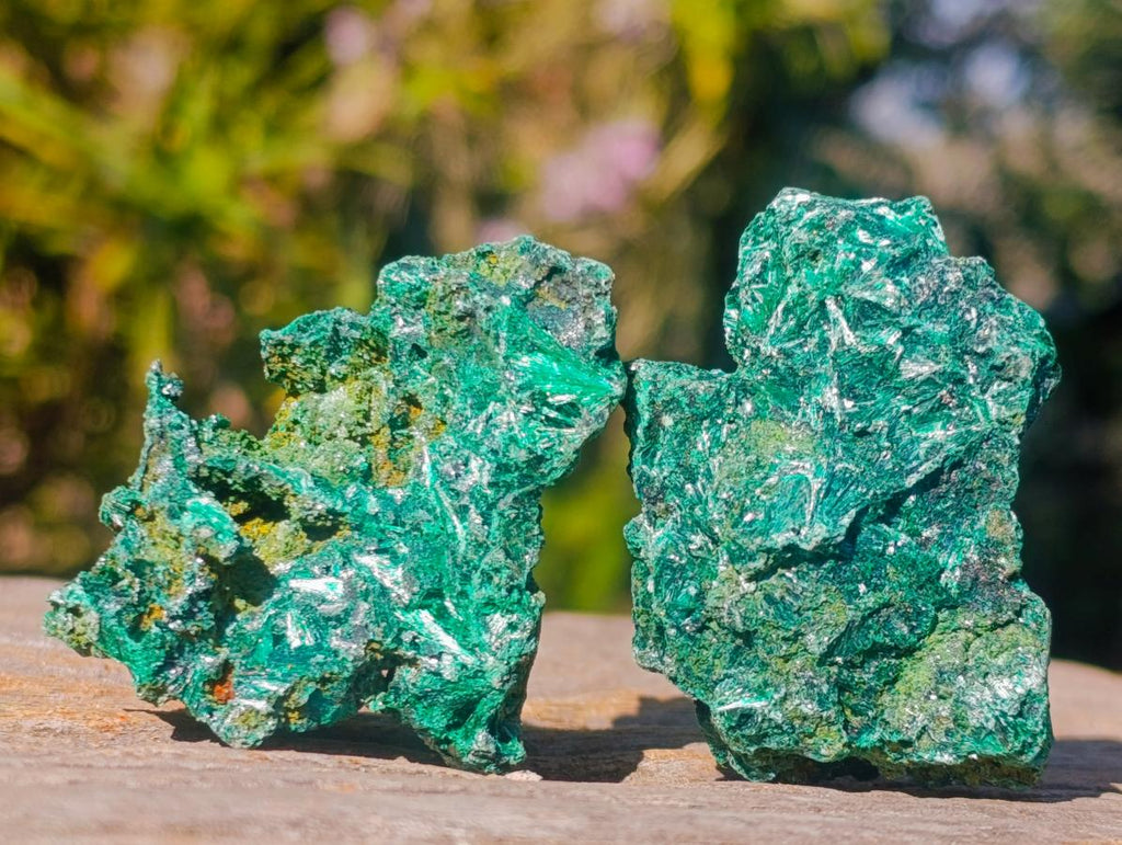 Natural Silky Malachite Specimens x 12 From Kasompe, Congo