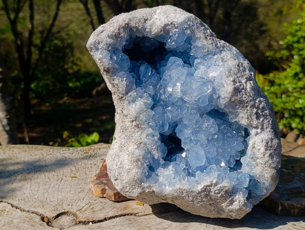 Natural XL Blue Celestite Geode Specimen x 1 From Sakoany, Madagascar