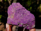 Natural Metallic Cobbed Purpurite Specimens x 12 From Erongo, Namibia