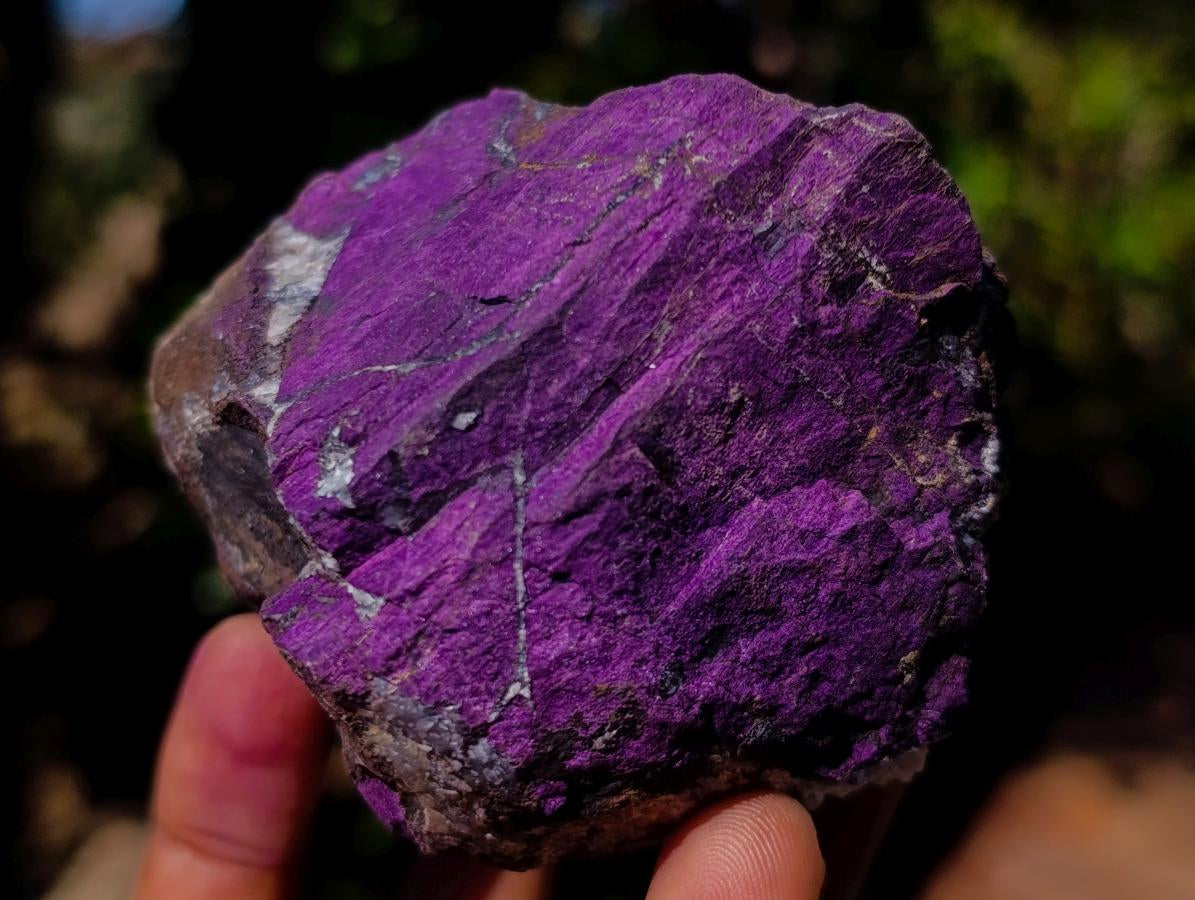 Natural Metallic Cobbed Purpurite Specimens x 12 From Erongo, Namibia