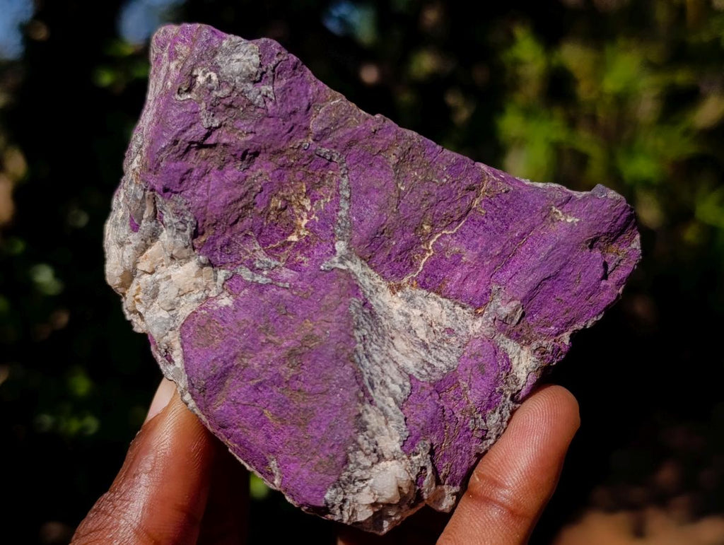 Natural Metallic Cobbed Purpurite Specimens x 12 From Erongo, Namibia