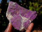 Natural Metallic Cobbed Purpurite Specimens x 12 From Erongo, Namibia