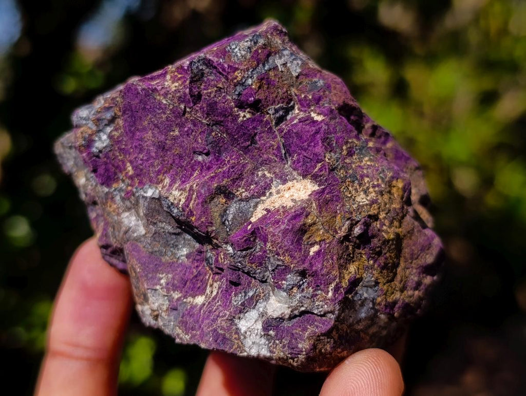 Natural Metallic Cobbed Purpurite Specimens x 12 From Erongo, Namibia