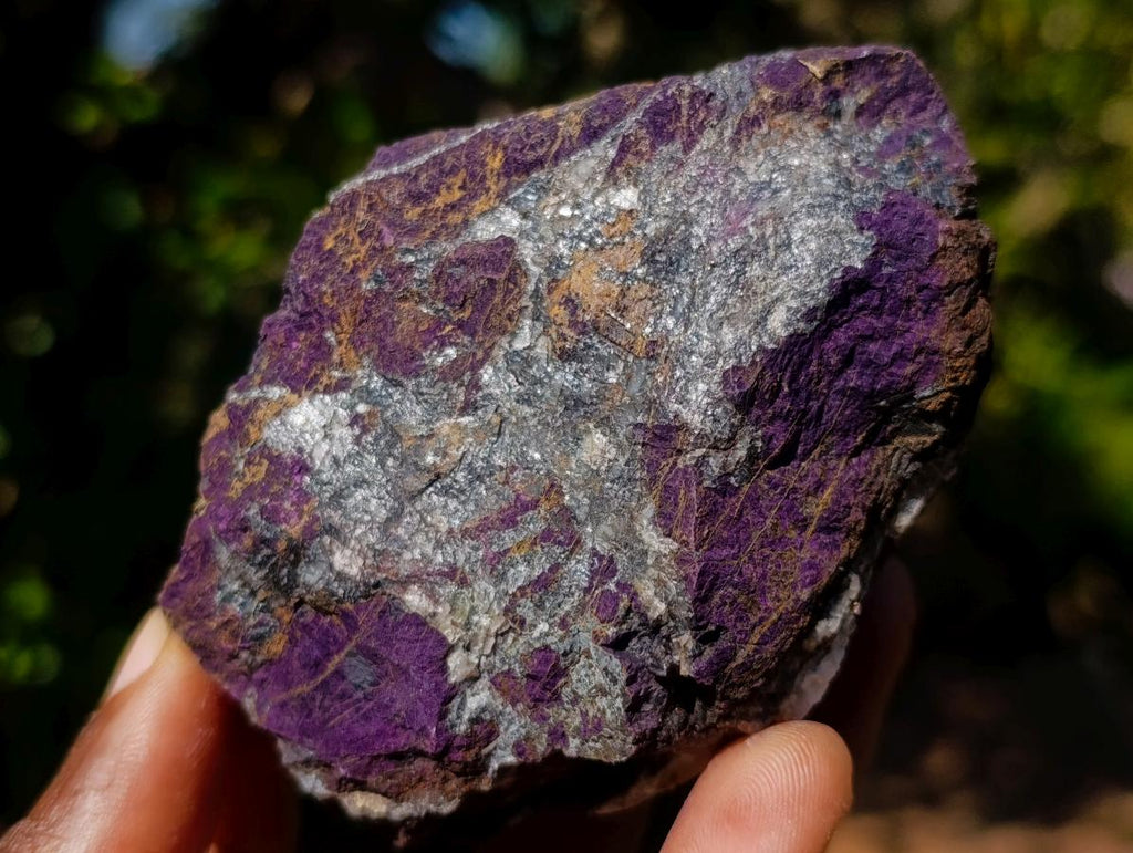 Natural Metallic Cobbed Purpurite Specimens x 12 From Erongo, Namibia