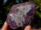 Natural Metallic Cobbed Purpurite Specimens x 12 From Erongo, Namibia