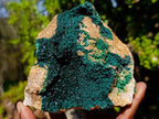 Natural Large Crystalline Malachite Specimen x 1 From Kolwezi, Congo