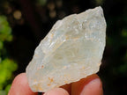 Natural Topaz Crystals x 89 From Spitzkop, Namibia