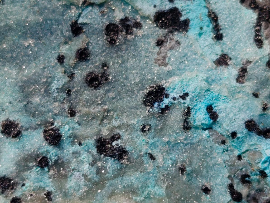 Natural Drusy Coated Chrysocolla Specimens with Dendritic Heterogenite on Dolomite x 6 From Lupoto Mine, Congo