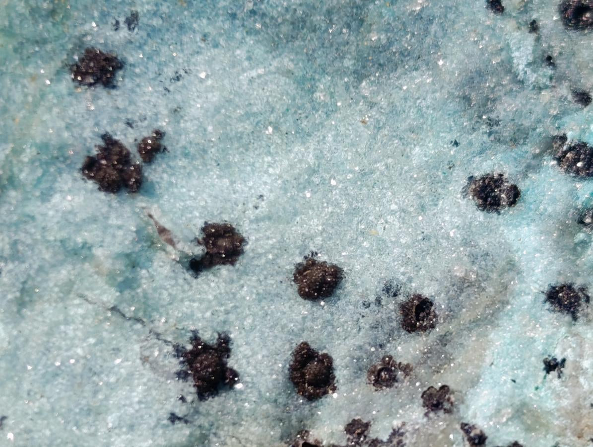Natural Drusy Coated Chrysocolla Specimens with Dendritic Heterogenite on Dolomite x 6 From Lupoto Mine, Congo