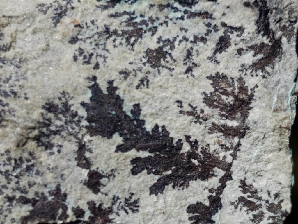 Natural Drusy Coated Chrysocolla Specimens with Dendritic Heterogenite on Dolomite x 6 From Lupoto Mine, Congo