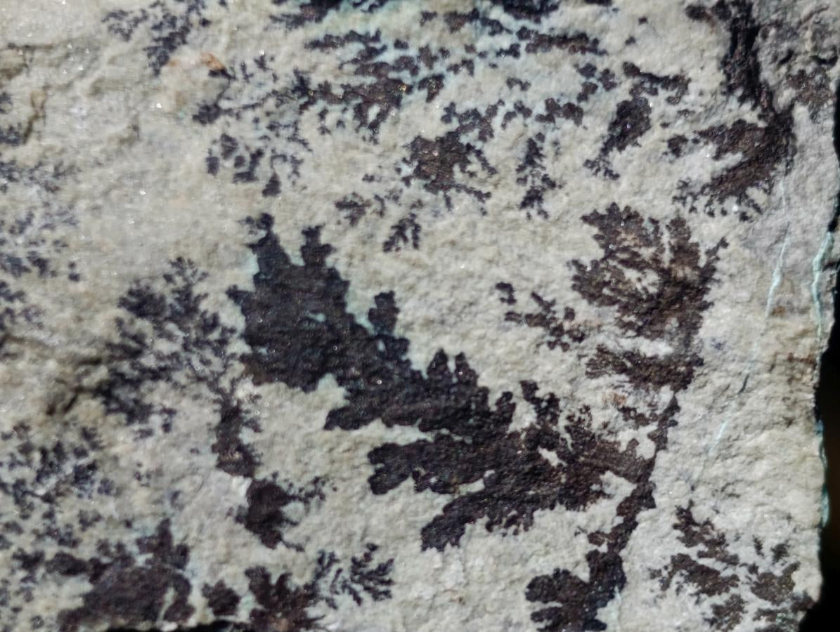 Natural Drusy Coated Chrysocolla Specimens with Dendritic Heterogenite on Dolomite x 6 From Lupoto Mine, Congo