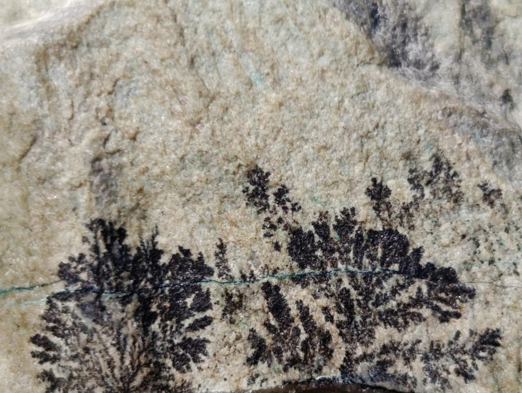 Natural Drusy Coated Chrysocolla Specimens with Dendritic Heterogenite on Dolomite x 6 From Lupoto Mine, Congo