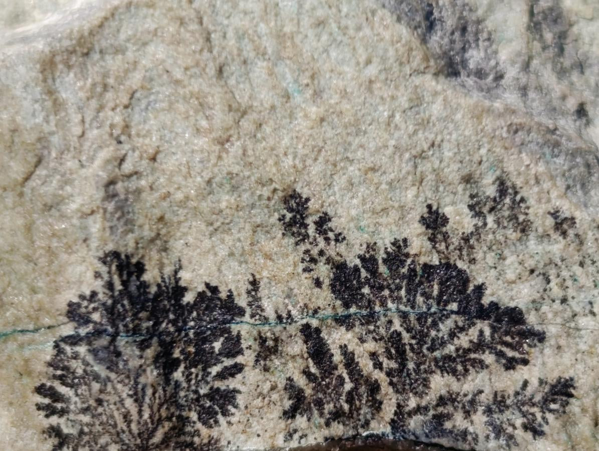 Natural Drusy Coated Chrysocolla Specimens with Dendritic Heterogenite on Dolomite x 6 From Lupoto Mine, Congo