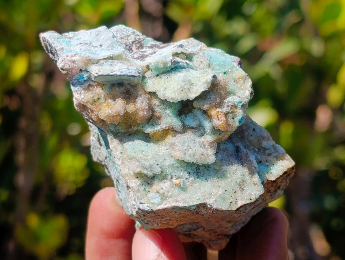 Natural Drusy Coated Chrysocolla Specimens with Dendritic Heterogenite on Dolomite x 6 From Lupoto Mine, Congo